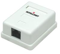INTELLINET 210881 Presa a Muro con Frutto RJ45 Cat. 5E UTP Beige Bianco