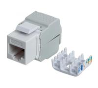 Intellinet Frutto Keystone RJ45 UTP Cat6 Bianco