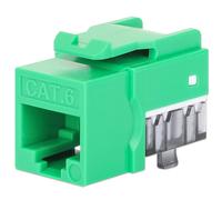 Intellinet Frutto Keystone Slim Cat.6 per Cavo Rigido con Supporto Punch-Down 25