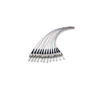 INTELLINET - ILWL PG-ST-OM3 - Set 12 Pigtail ST 50/125, OM3