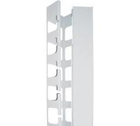Intellinet - Piastra di gestione cavi per quadro elettrico - Grigio RAL 7035 - 42U - 483 cm (19") (confezione da 2) NEW
