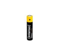 Intenso Batteria AAA Alcalina 1250 mAh Mini Stilo 24 pz