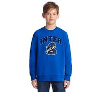 Inter Felpa Bambino/a, Prodotto Ufficiale, Design con Biscione Collezione Back to Stadium, 100% Cotone, Adatta a Tutti i Tifosi Nerazzurri