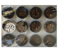 Intera Incenso Carbone Coppa Wicca Puja Rituali Meditazione Altare Strega Erbe