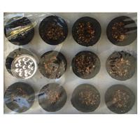 Intera Incenso Carbone Coppa Wicca Puja Rituali Meditazione Altare Strega Erbe