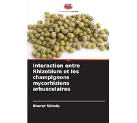 Interaction entre Rhizobium et les champignons mycorhiziens arbusculaires
