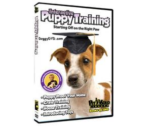 Interactive Puppy Training DVD - Start your Dog off on the Right Paw
