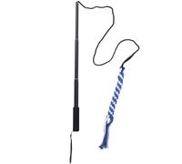 Interattivo Giocattoli Cucciolo Flirtare Pole Per Cani Che Inseguono Il Cane