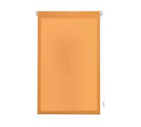 INTERBLIND | Tenda avvolgibile avvolgibile EasyFix traslucida liscia 37 x 180 cm (larghezza per altezza) - Tenda premium montaggio senza attrezzi misura tessuto 34 x 175 cm - Tenda avvolgibile senza