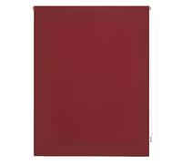 INTERBLIND | Tenda avvolgibile trasparente, 100 x 250 cm (larghezza per altezza) - Tenda avvolgibile misura del tessuto 97 x 245 cm - Tenda traslucida bordeaux - Tenda premium per finestre