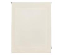 INTERBLIND | Tenda avvolgibile trasparente, 140 x 250 cm (larghezza per altezza) - Tenda avvolgibile misura del tessuto, 137 x 245 cm - Tenda traslucida BEIG - Tenda per finestre premium