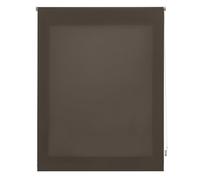 INTERBLIND | Tenda avvolgibile trasparente, 160 x 250 cm (larghezza per altezza) - Tenda avvolgibile misura del tessuto, 157 x 245 cm - Tenda traslucida talpa - Tenda per finestre premium
