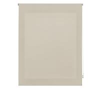INTERBLIND | Tenda avvolgibile trasparente, trasparente, 120 x 175 cm (larghezza per altezza) - Tenda avvolgibile misura del tessuto, 117 x 170 cm - Tenda traslucida avorio - Tenda per finestre