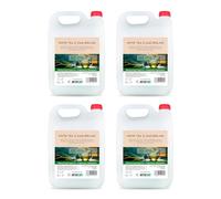 Intercabo - 4 taniche da 5 litri gel doccia e shampoo 2 in 1 - detergente corpo e capelli - fragranza tè bianco e Darjeeling - uso professionale per hotel, spa, B&B - 20 L totali