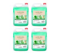 Intercabo - Confezione da 4 Shampoo all'Aloe Vera - Tanica da 5 Litri di Shampoo - Idratazione Profonda e Riparazione dei Capelli, Prodotto in Spagna, Ideale per Tutti i Tipi di Capelli