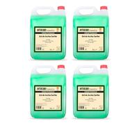 Intercabo Cosmétics Gel Doccia Caraibi - Confezione da 4 x 5 litri - Detergente corpo e mani con profumo tropicale - Per uso professionale in hotel, campeggi, spa, palestre e strutture ricettive