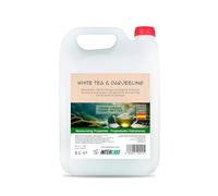 Intercabo - Gel doccia e shampoo 2 in 1 da 5 litri - formula detergente corpo e capelli - fragranza tè bianco e Darjeeling - uso professionale per hotel, spa, palestre - compatibile con dispenser