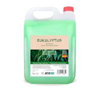 Intercabo Shampoo Professionale all’Eucalipto - Tanica da 5 litri - Rinfrescante per uso frequente - Per capelli normali e grassi - Per hotel, palestre, spa, campeggi e strutture ricettive