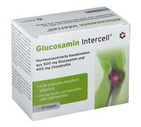 Intercell Pharma - INTERCELL PHARMA Glucosamin-Intercell (120 caps)
