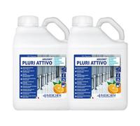 Interchem Argonit Pluriattivo 5 L, Sgrassante Universale Profumato 2 Pezzi