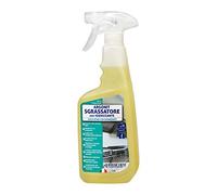 Interchem ARSG0.75X6 Argonit Sgrassatore Sgrassatore con Igienizzante, 6 Flaconi Spray da 750 ml