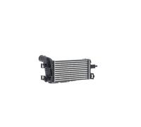 Intercooler Alette Saldato Alluminio 343 MM - 158 MAHLE per Altre Cose Ford