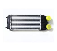 Intercooler In Alluminio ABAKUS Per Citroën C2 JM