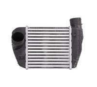 NISSENS 96544 Intercooler per AUDI