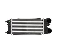 Intercooler NRF 30979