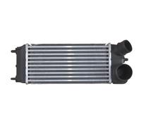 Intercooler NRF Per Ford Fiesta VI