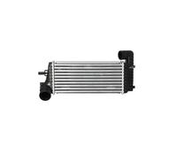 NRF Raffreddatore aria 30909 per Ford Focus III Turnier/Tourneo Connect/Grand 1.5 2014-2018