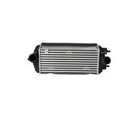 Intercooler NRF per Kia Carens IV