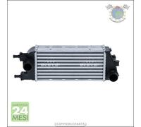 Intercooler NRF per LANCIA YPSILON