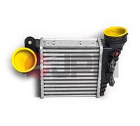 Intercooler per AUDI SEAT SKODA VW A3 BORA GOLF GOLF VAN LEON OCTAVIA TOLEDO