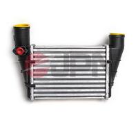 Intercooler per AUDI VW A4 A6 PASSAT