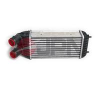 Intercooler per CITROËN DS PEUGEOT 2008 207 207 CC 207 SW 208 301 C-ELYSEE C3 C3