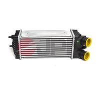 Intercooler per CITROËN PEUGEOT BERLINGO / BERLINGO FIRST BERLINGO MULTISPACE PA