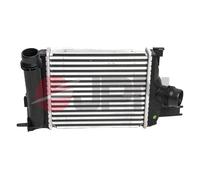 Intercooler per DACIA RENAULT CAPTUR CLIO DOKKER LOGAN LOGAN MCV SANDERO