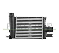 Intercooler Per Dacia Sandero Dal 2013 Al 2016 Rn329n001 144963014r
