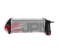 Intercooler per MERCEDES-BENZ RENAULT CITAN KANGOO KANGOO / GRAND KANGOO