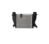 Intercooler per RENAULT CLIO MODUS / GRAND MODUS