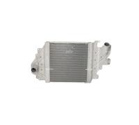 Intercooler per RENAULT CLIO THALIA
