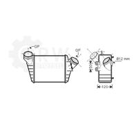Intercooler Per VW New Beetle Cabriolet 9C1 1C1 1Y7 1.9 TDI 183x190