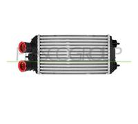 PRASCO PG330N001 Intercooler