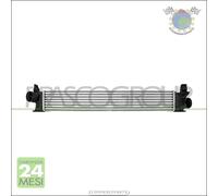 Intercooler Prasco per CITROEN JUMPER III FIAT DUCATO PEUGEOT BOXER