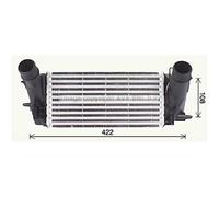 Intercooler Raffreddato ad Aria Alluminio Adatto A per Ford Fiesta VI di Van