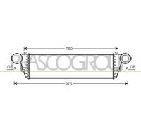 Intercooler Con Innesti Rapidi PRASCO per Mercedes