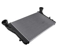 Intercooler Scambiatore D'Aria Per Audi A3 Tt Seat Toledo III Leon 1K0145803