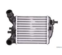 Intercooler Scambiatore di Calore Sinistro DENSO Abarth 500/595/695 1.4 Turbo