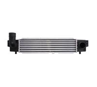 Intercooler THERMOTEC DA03001TT